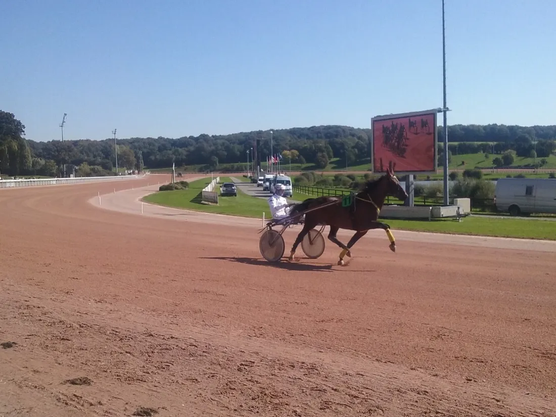 Hippisme : nos préférés pour ce samedi 1er avril